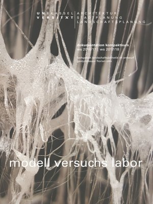 cover image of modell versuchs labor